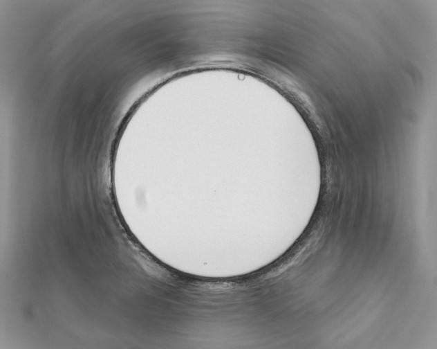 X0000111611328200908281042