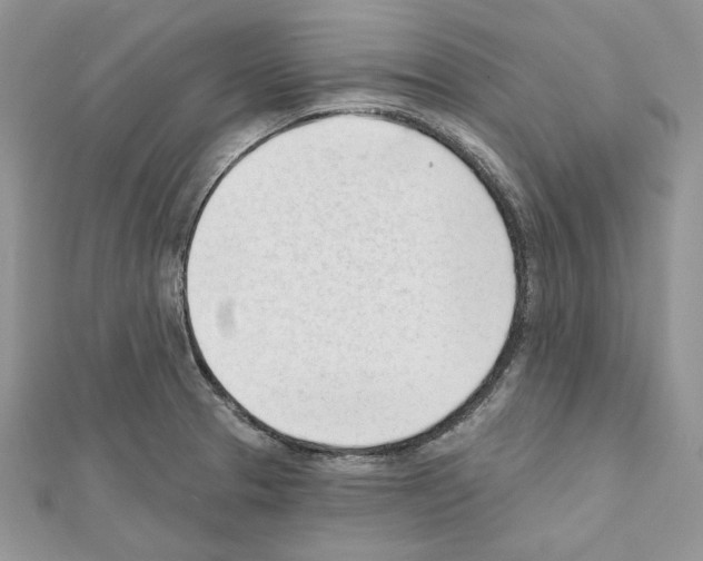 X0000111611329200908281042
