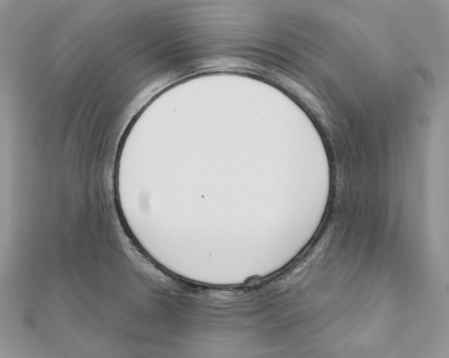 X0000111611330200908281042