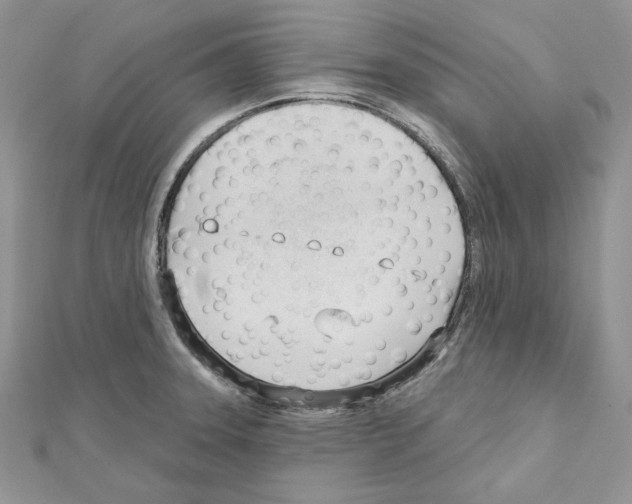 X0000111611331200908281042