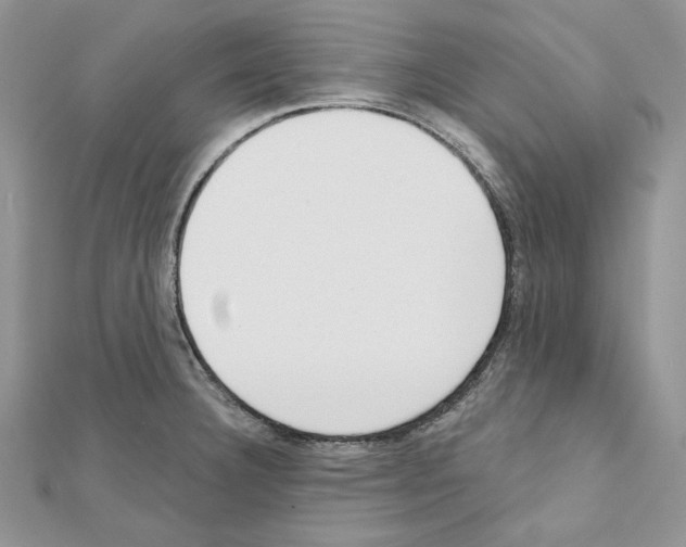 X0000111611332200908281042