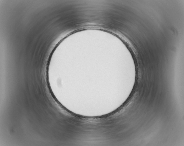 X0000111611333200908281042