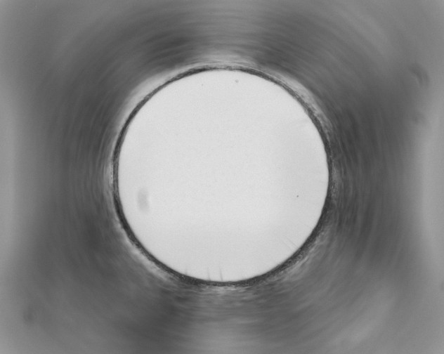 X0000111611335200908281042