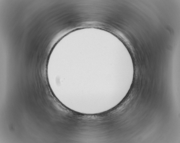 X0000111611336200908281042