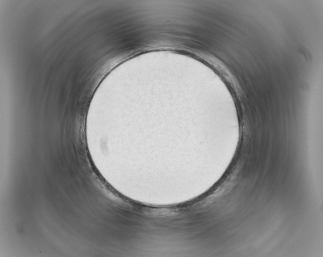 X0000111611337200908281042