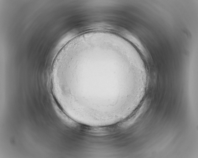 X0000111611338200908281042