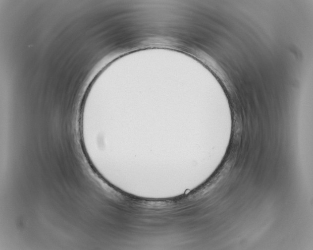 X0000111611339200908281042