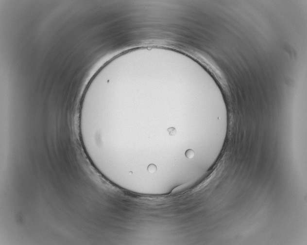 X0000111611340200908281042