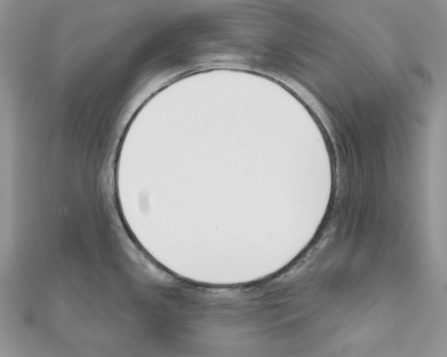 X0000111611341200908281042