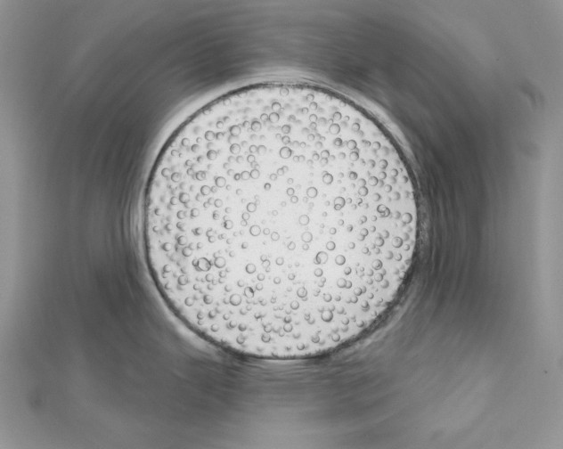 X0000111611343200908281042