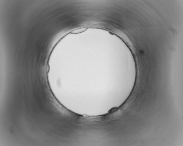 X0000111611344200908281042