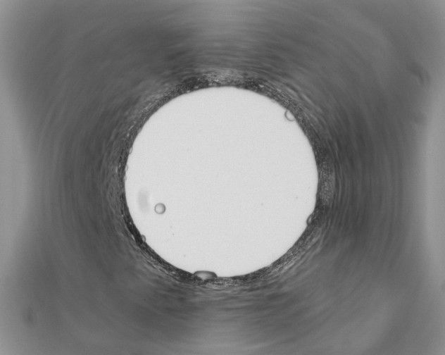 X0000111611345200908281042