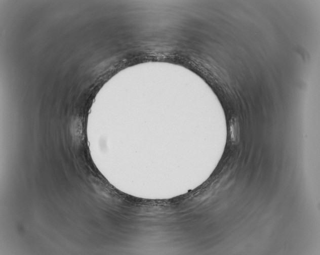 X0000111611347200908281042