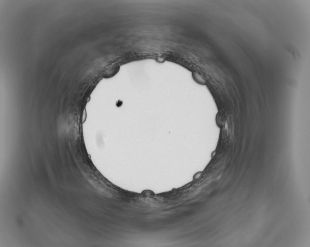 X0000111611348200908281042