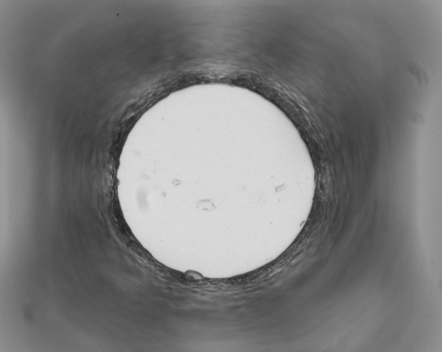 X0000111611349200908281041