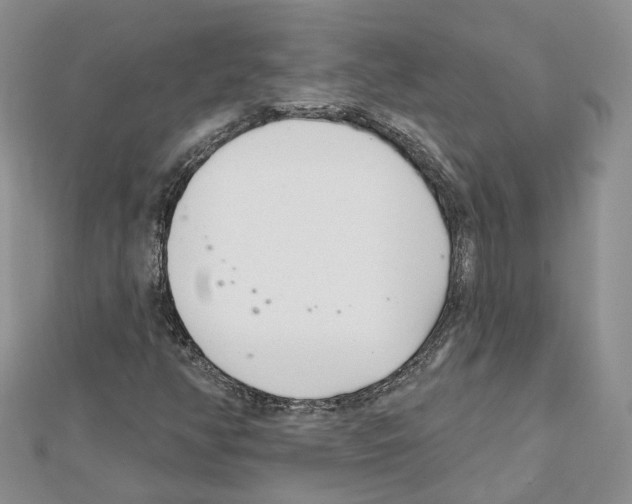 X0000111611350200908281041