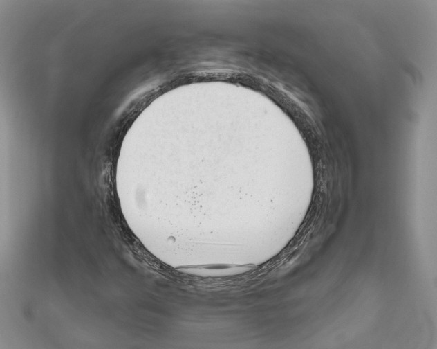 X0000111611351200908281041