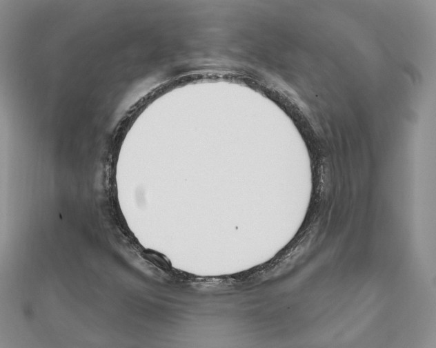 X0000111611352200908281041