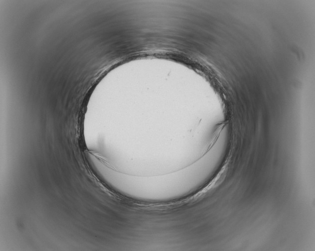 X0000111611353200908281041