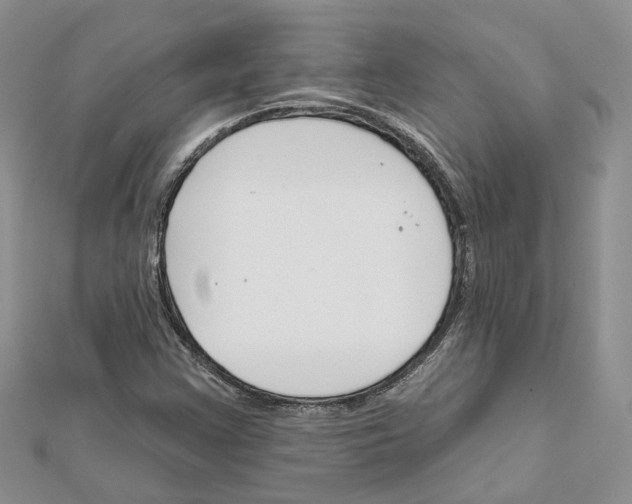 X0000111611355200908281041