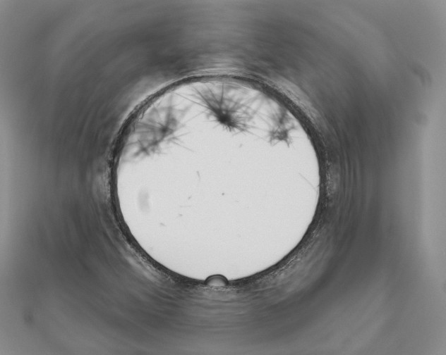 X0000111611356200908281041