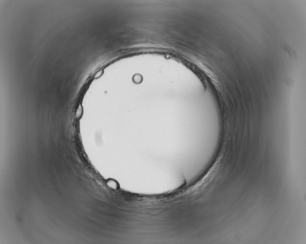 X0000111611357200908281041