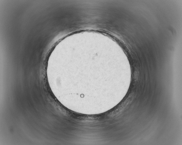 X0000111611359200908281041