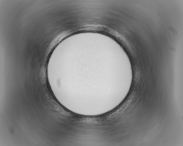 X0000111611362200908281041