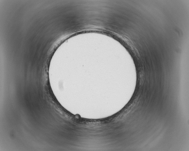 X0000111611363200908281041