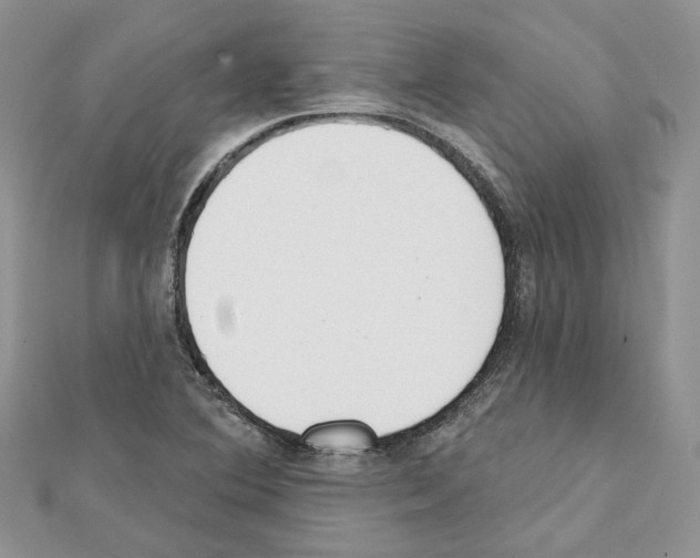 X0000111611364200908281041