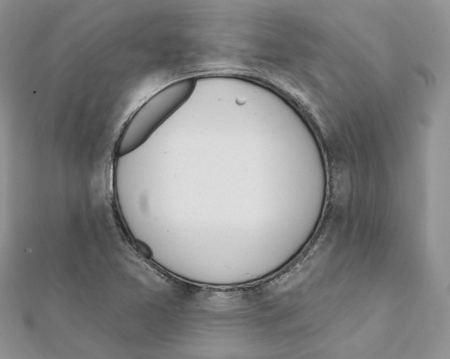 X0000111611365200908281041