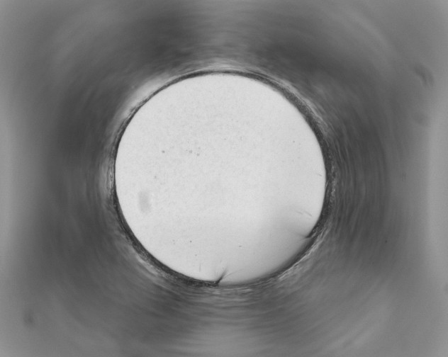 X0000111611367200908281041