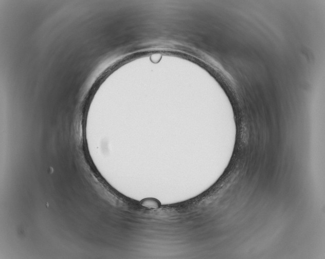 X0000111611368200908281041