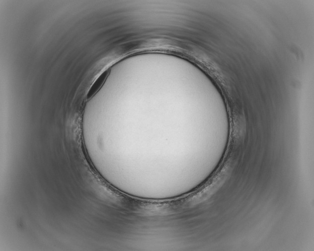 X0000111611369200908281041