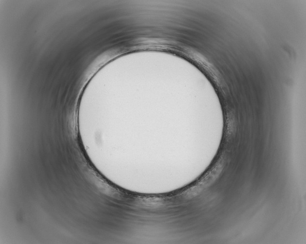 X0000111611370200908281041