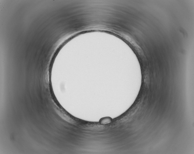 X0000111611372200908281041