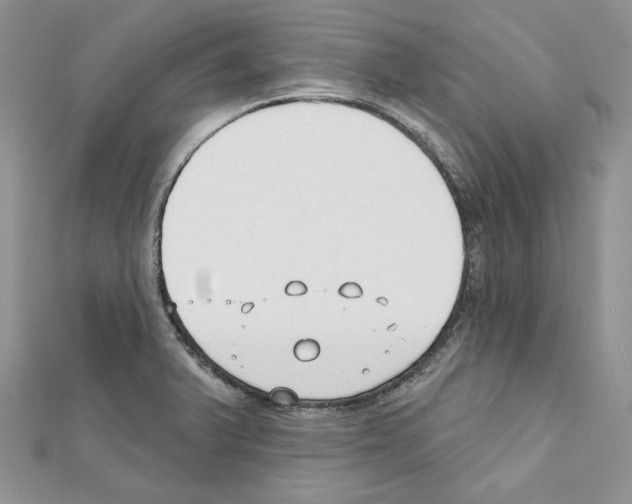 X0000111611375200908281041