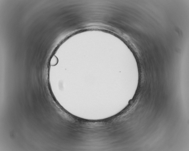 X0000111611376200908281041
