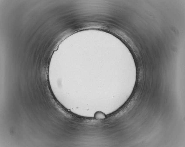 X0000111611377200908281041