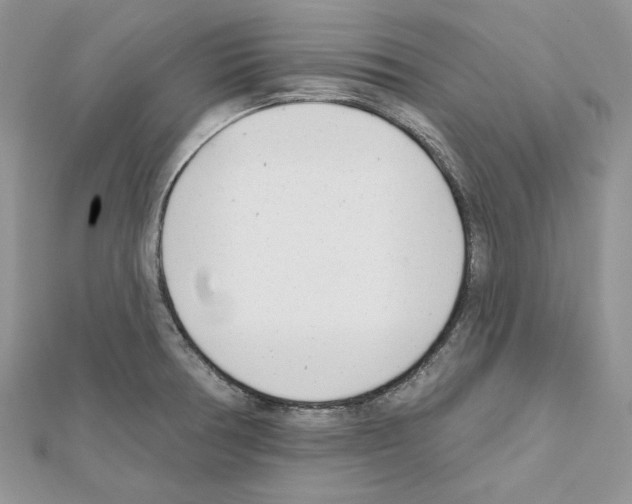 X0000111611378200908281041