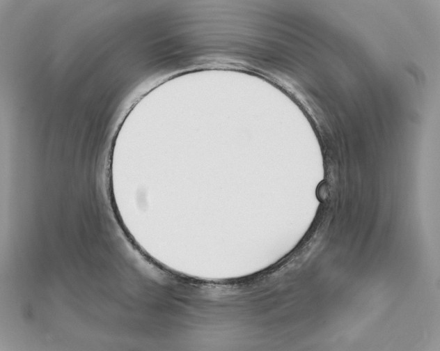 X0000111611379200908281041
