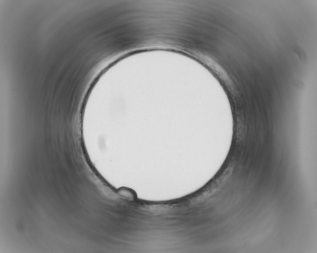 X0000111611380200908281041