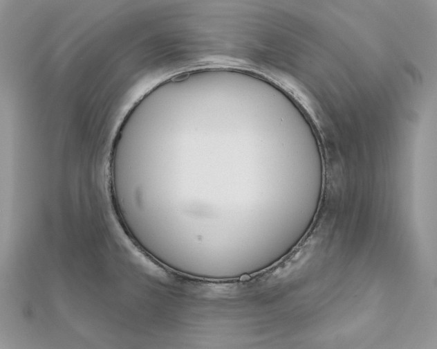 X0000111611381200908281041