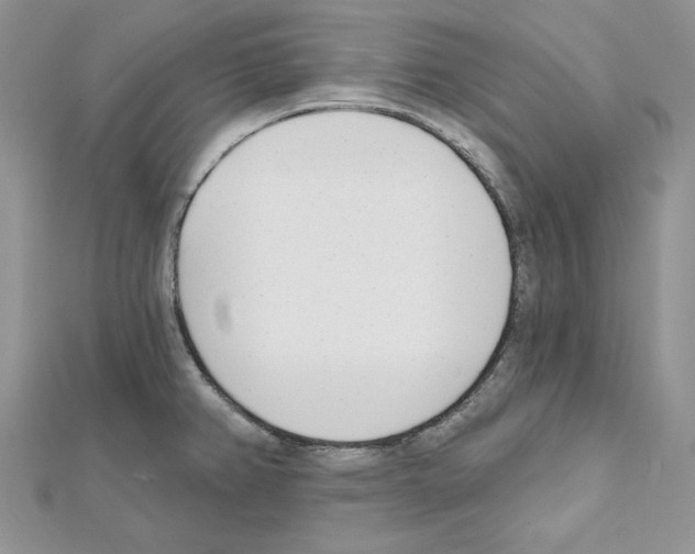 X0000111611382200908281041