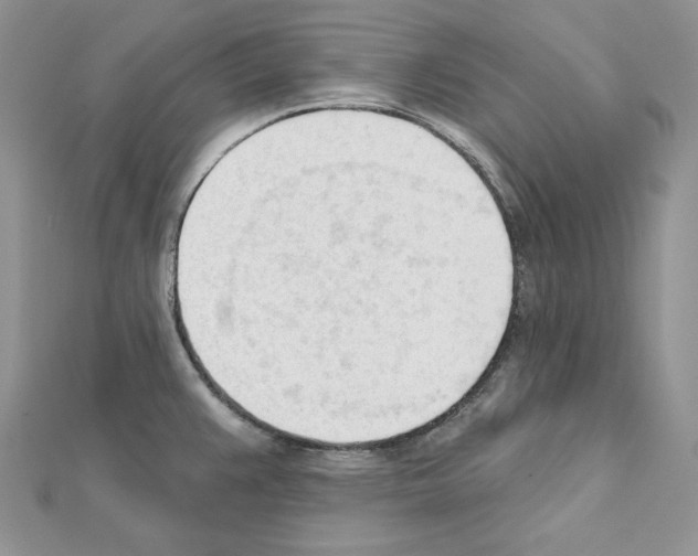 X0000111611383200908281041