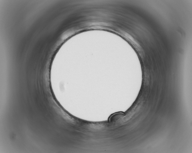 X0000111611384200908281041
