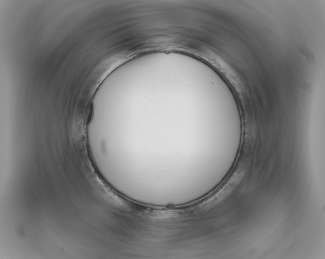 X0000111611385200908281041