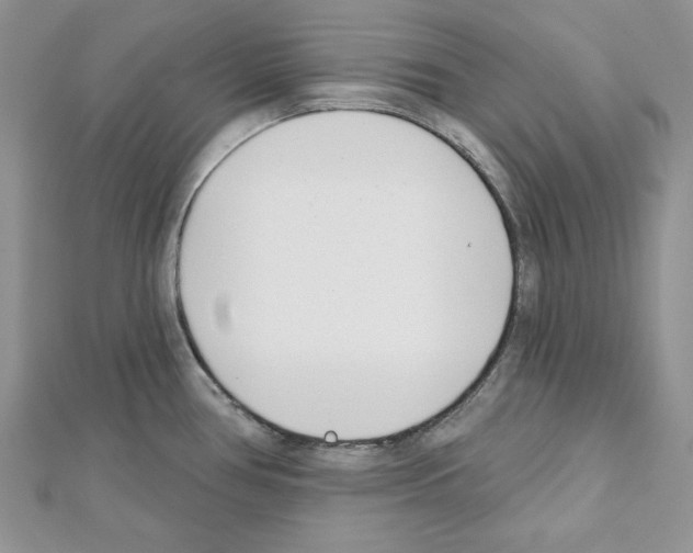 X0000111611386200908281041