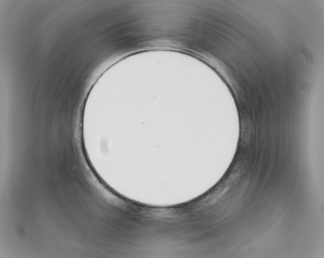 X0000111611387200908281041