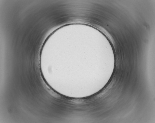 X0000111611388200908281041